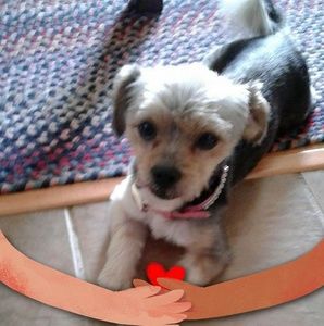 Meet your Posher, Sandra